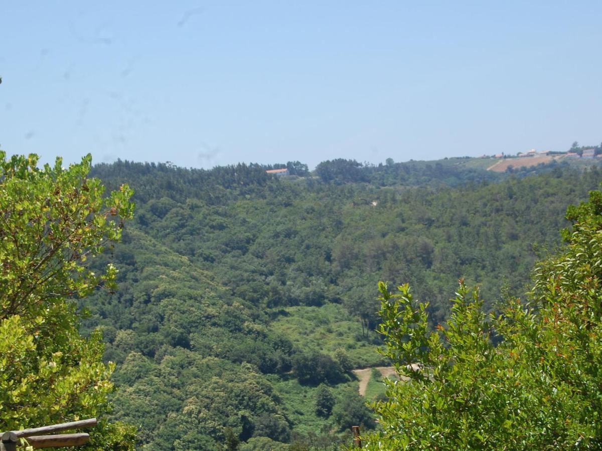A Perfect Villa With Pool Terrace And Garden Alcobaça Cameră foto